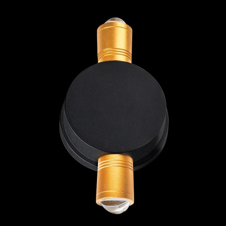 Фото Накладной светильник Lightstar Dito 380623