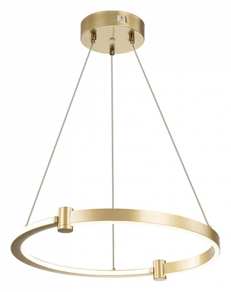 Открыть Подвесной светильник Indigo Circolato 14015/1P Gold Фото Подвесной светильник Indigo Circolato 14015/1P Gold