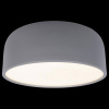 Открыть Накладной светильник Loft it Axel 10201/350 Grey Фото Накладной светильник Loft it Axel 10201/350 Grey