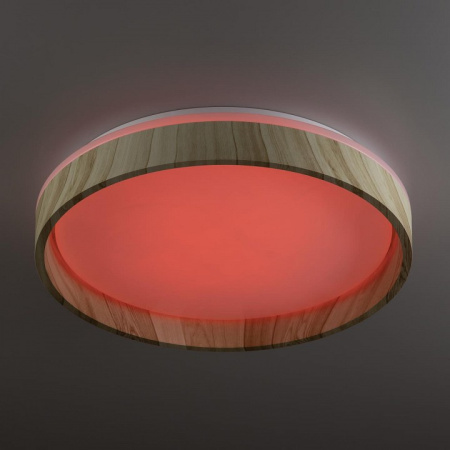 Фото Накладной светильник Citilux ENZO CL753352G