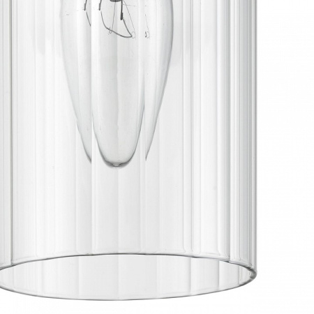 Фото Подвесной светильник Lumion Isha 8102/1A