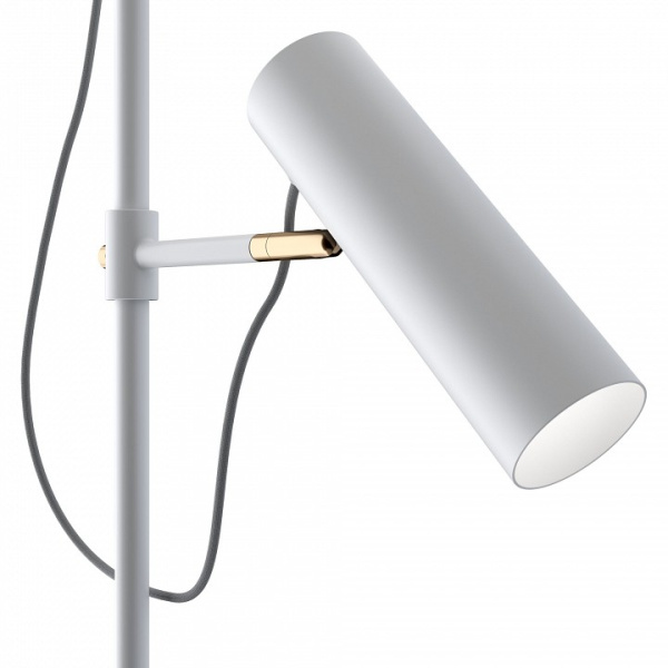 Фото Торшер Maytoni Bansky MOD129FL-01W