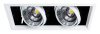 Встраиваемый светильник Arte Lamp Merga A8450PL-2WH Встраиваемый светильник Arte Lamp Merga A8450PL-2WH