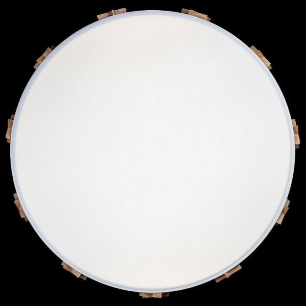 Открыть Накладной светильник Loft it Axel 5 10006/36 White Фото Накладной светильник Loft it Axel 5 10006/36 White