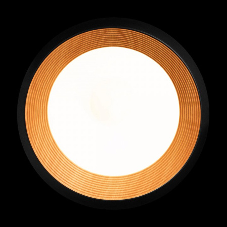 Фото Накладной светильник Loft it Folk 10255/500 Black