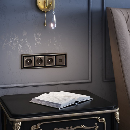 Фото Накладка для розетки Werkel бронзовый W1179012