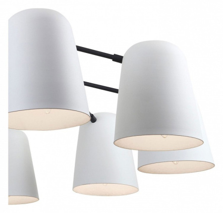 Фото Подвесная люстра F-promo Trick 2762-10P