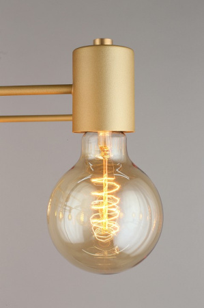 Фото Потолочная люстра Aployt Elison APL.911.07.09