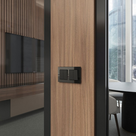 Фото Выключатель двухклавишный без рамки Werkel черный W1123006