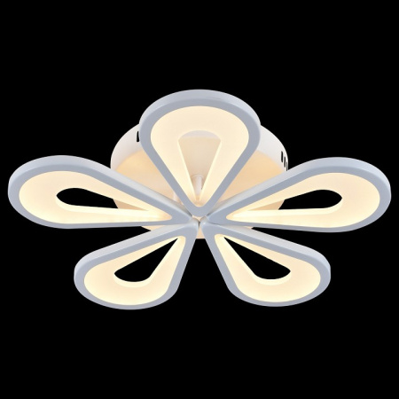 Фото Потолочная люстра Escada Kamille 10206/5LED White