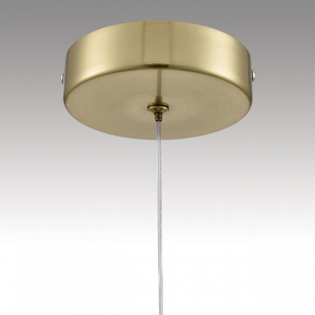 Фото Подвесной светильник Lumion Solida 8087/1A