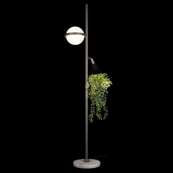 Фото Торшер Loft it Jardin 10121/F Dark grey