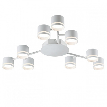 Фото Потолочная люстра Lumion Gareta 8235/9C