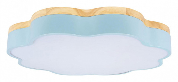 Фото Накладной светильник Loft it Axel 10225/36 Blue