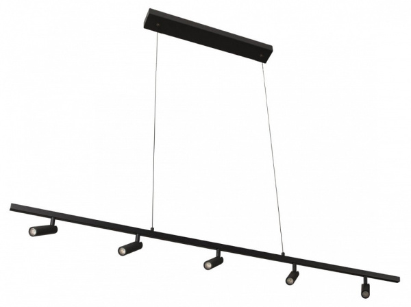 Фото Подвесной светильник Loft it Sign 10260/5 Black