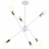 Люстра на штанге Ambrella Light TR TR80432 Люстра на штанге Ambrella Light TR TR80432