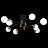 Фото Потолочная люстра ST-Luce Limano SL1203.402.08