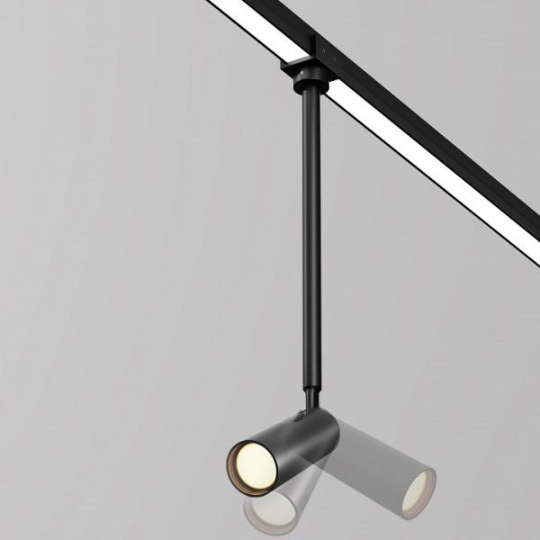 Фото Светильник на штанге Maytoni Focus O-TR01-2-P-8WB3K