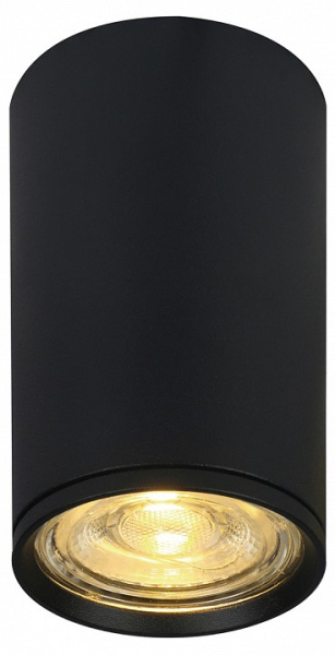 Фото Накладной светильник Escada 20001 20001SMU/01 SBK