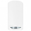 Накладной светильник Ambrella Light TN TN213133 Накладной светильник Ambrella Light TN TN213133