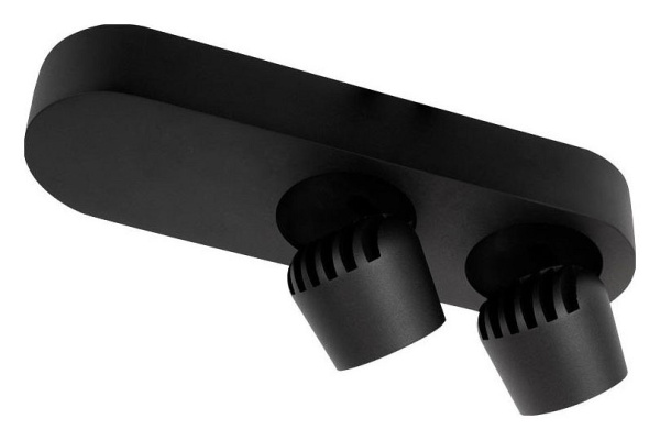 Фото Накладной светильник Loft it Quiet 10320/2 Black